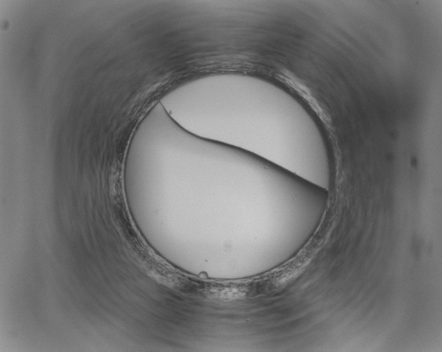 X0000067890161200604131022