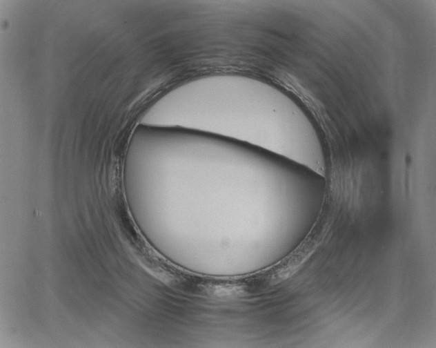 X0000067890165200604131022