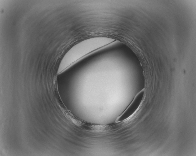 X0000067890192200604131023