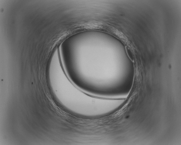 X0000067890201200604131022