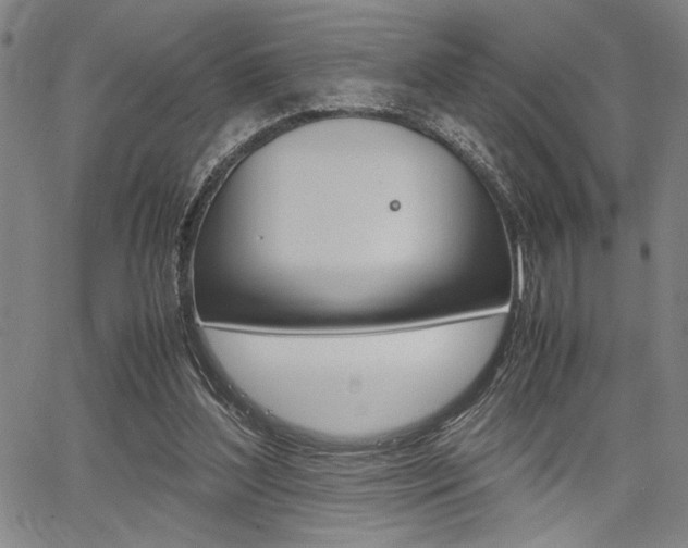 X0000067890204200604131022
