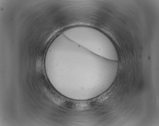 X0000067890208200604131022
