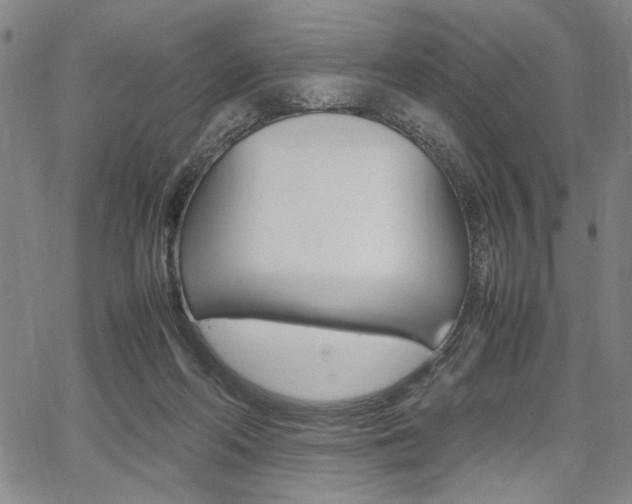 X0000067890214200604131021