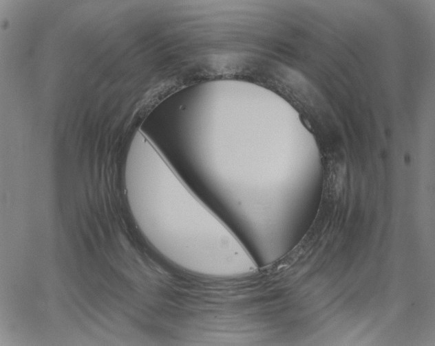 X0000067890220200604131021