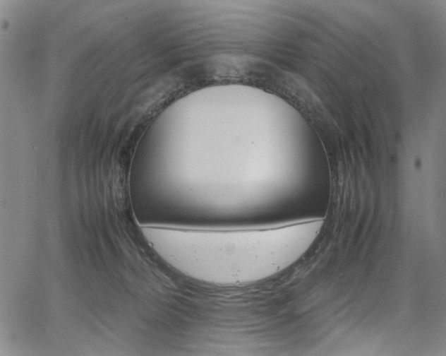 X0000067890228200604131021