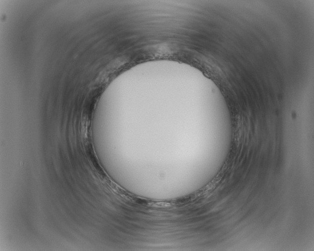 X0000067890230200604131021