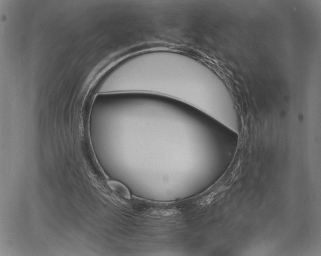 X0000067890247200604131020