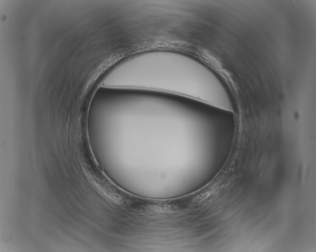 X0000067890250200604131020