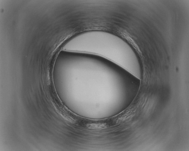 X0000067890251200604131020