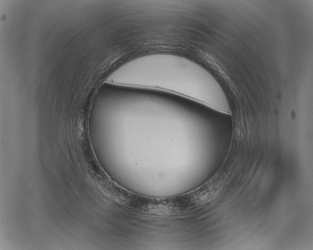 X0000067890259200604131021