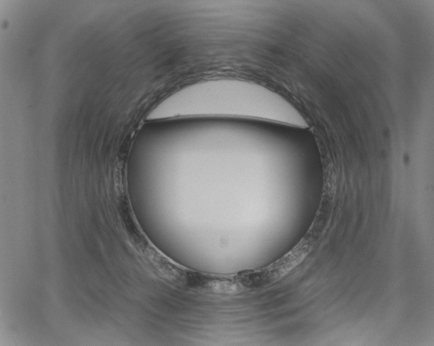 X0000067890272200604131021