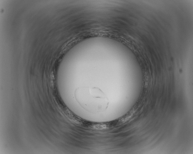 X0000067890279200604131021