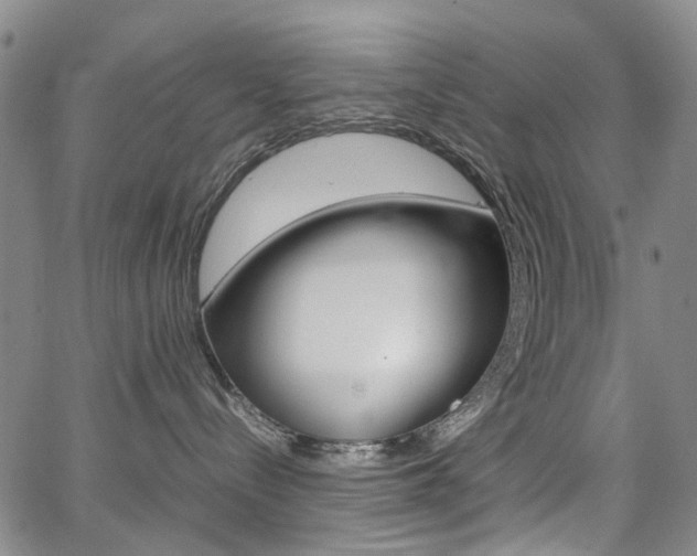 X0000067890288200604131021