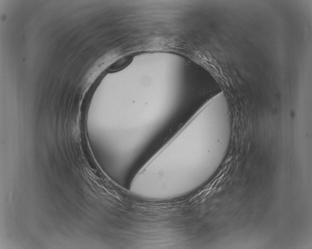 X0000067890292200604131020