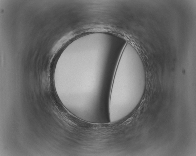 X0000067890296200604131020