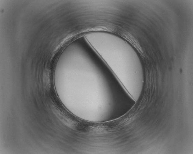 X0000067890300200604131020