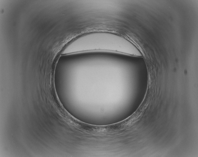 X0000067890301200604131020