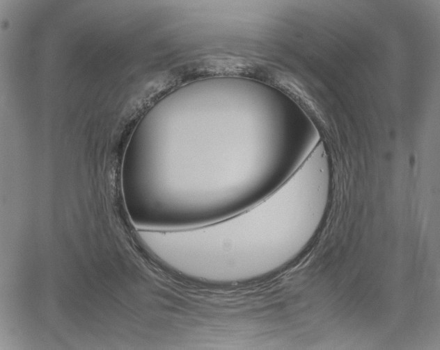 X0000067890309200604131020