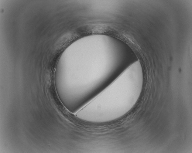 X0000067890311200604131020
