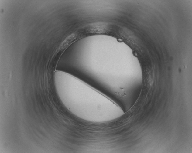 X0000067890312200604131020
