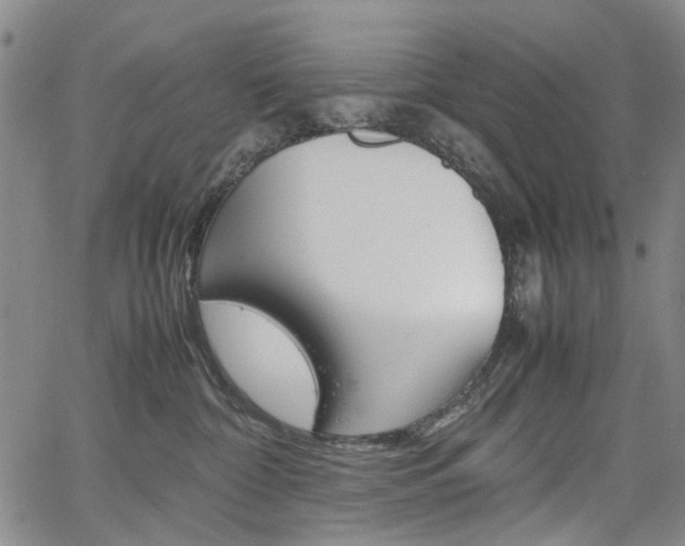 X0000067890332200604131020