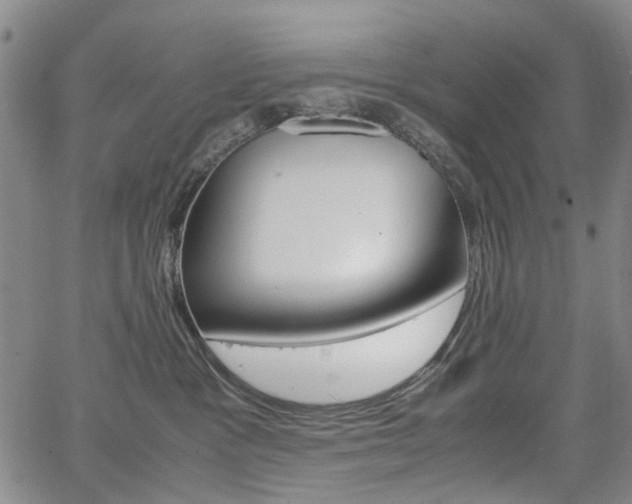 X0000067890333200604131020