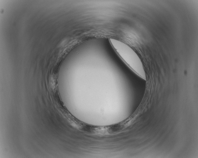 X0000067890335200604131020