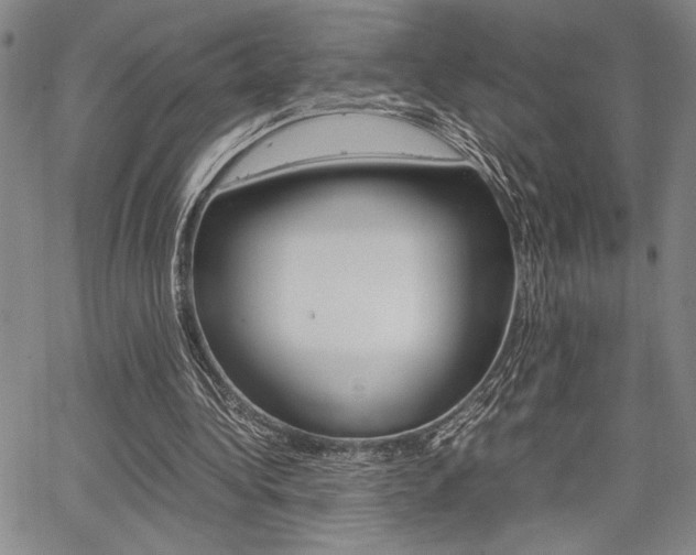 X0000067890340200604131019