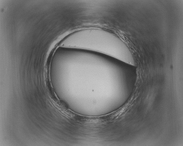 X0000067890342200604131019