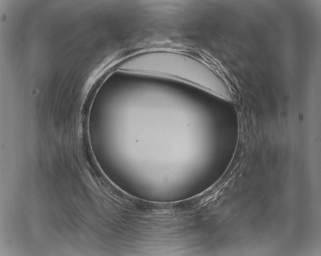X0000067890344200604131019