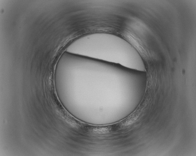 X0000067890357200604131019