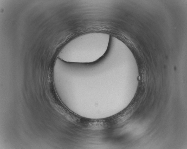 X0000067890362200604131019