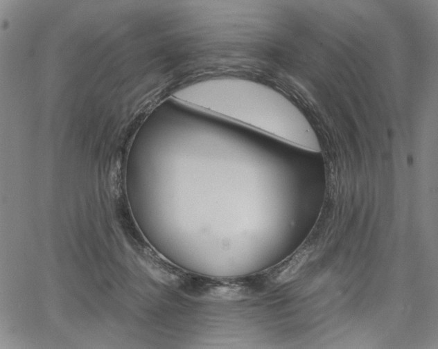 X0000067890364200604131019