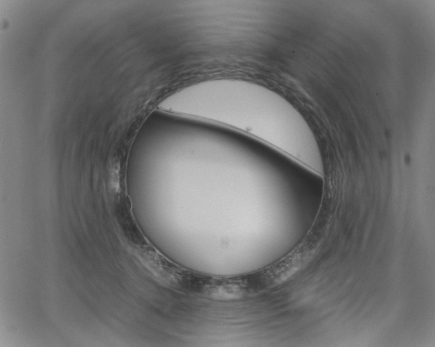 X0000067890368200604131019