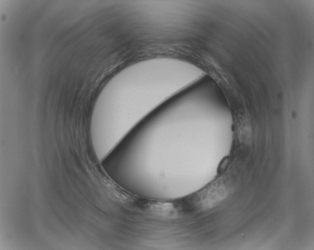X0000067890374200604131019