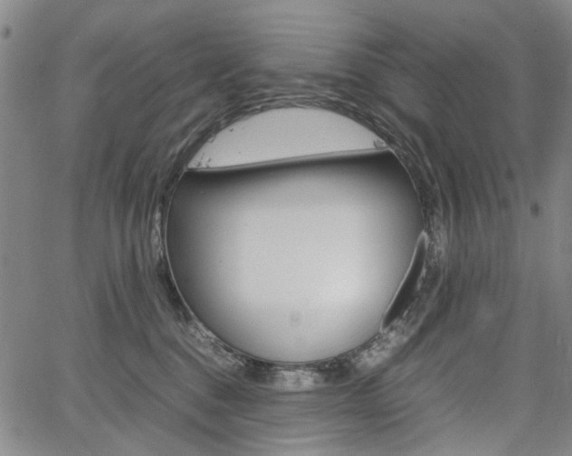 X0000067890376200604131019