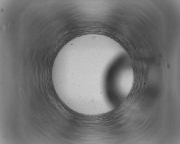 X0000067890380200604131019