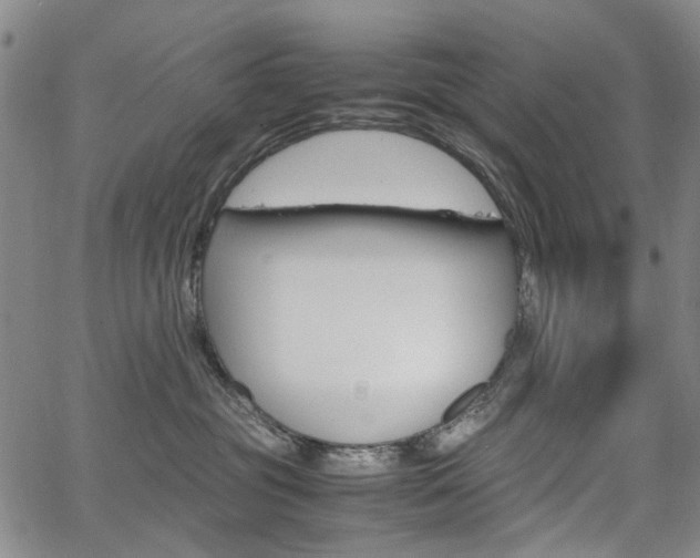X0000067890381200604131019