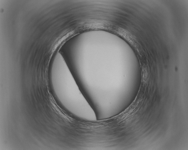 X0000067890390200604131019