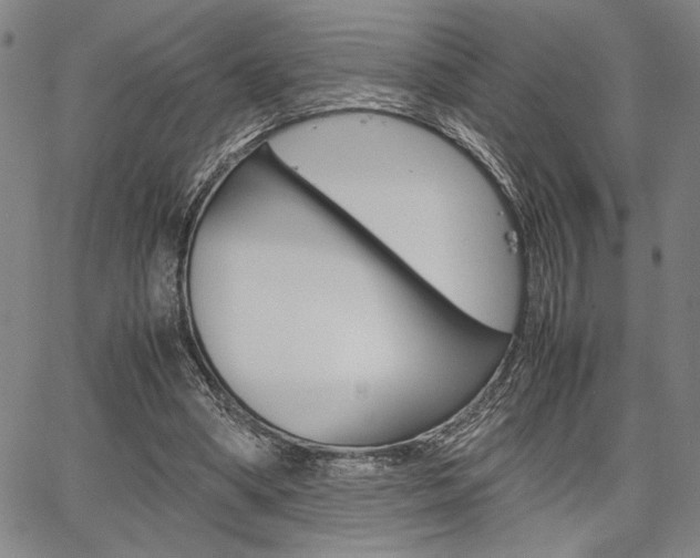 X0000067890394200604131019