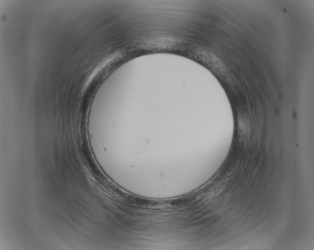 X0000067890396200604131019