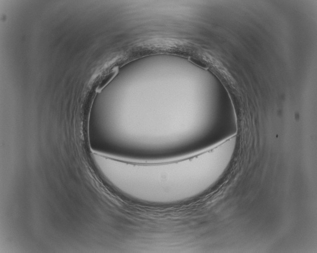 X0000067890399200604131018