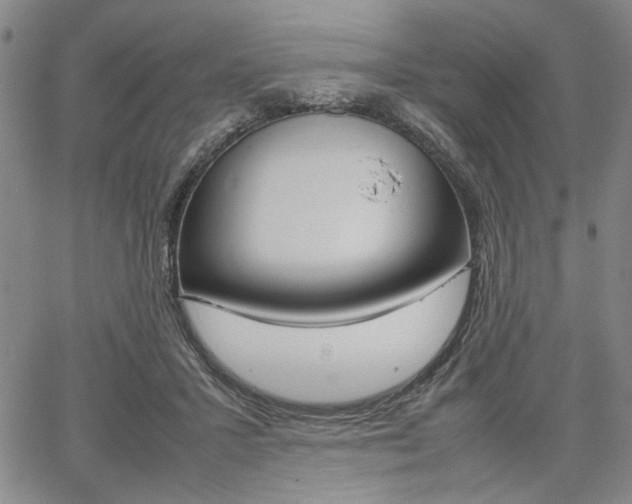 X0000067890407200604131018