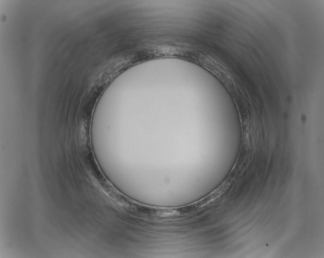 X0000067890410200604131018