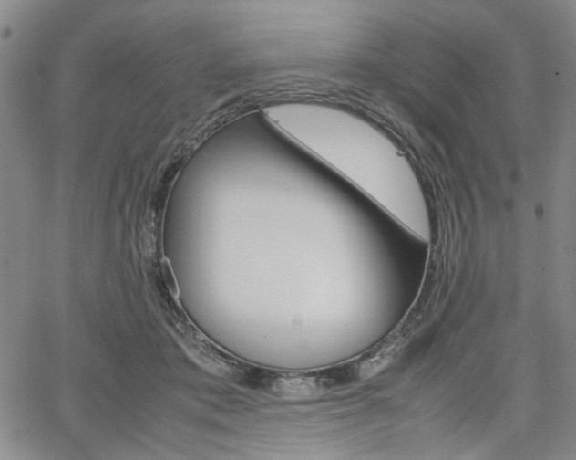 X0000067890413200604131018