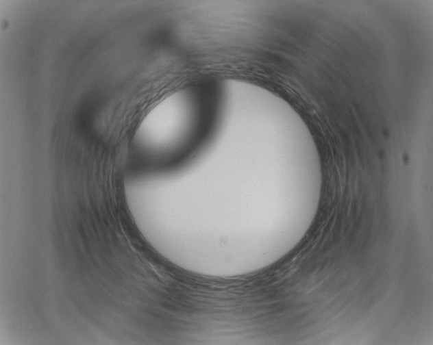 X0000067890416200604131018