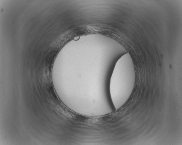 X0000067890418200604131018