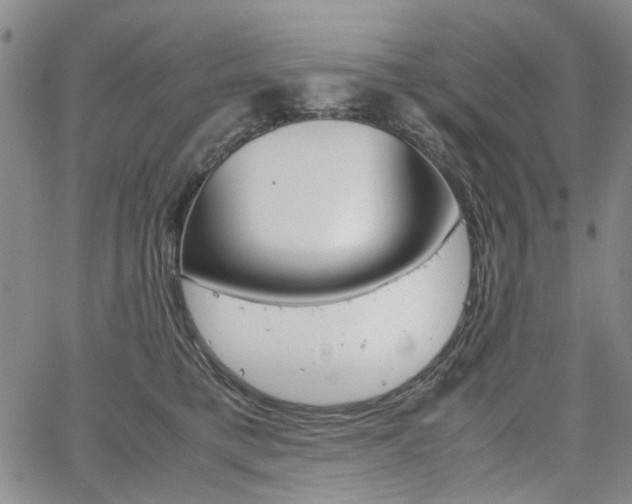 X0000067890421200604131018