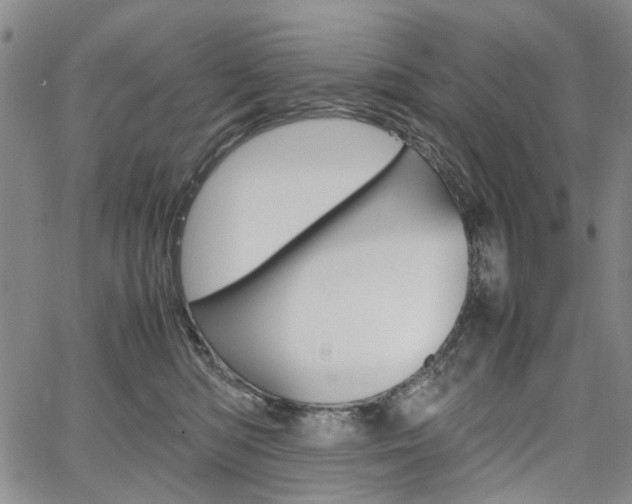 X0000067890422200604131018