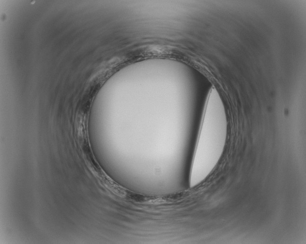 X0000067890423200604131018